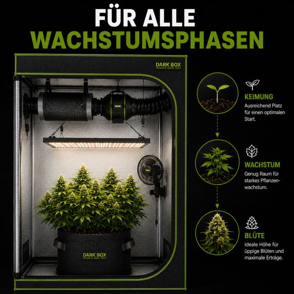 Innenansicht eines Dark Box Growzelts mit Belüftung, LED-Lampe und Pflanze für Keimung, Wachstum und Blüte. Dark Box Logo.