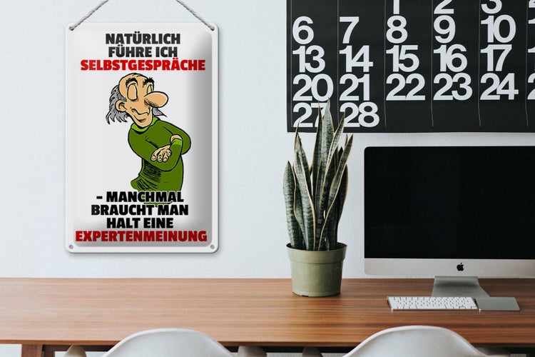 Blechschild Spruch 20x30cm Selbstgespräche Expertenmeinung