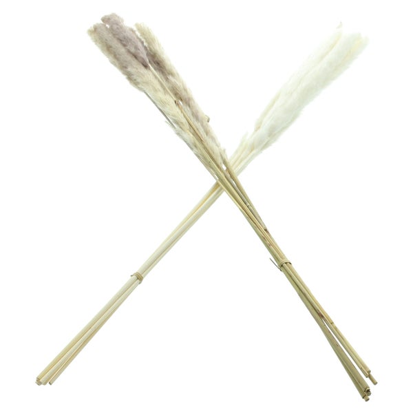 FRANK FLECHTWAREN | Pflanze Schilfgras, 2er Set, SCHILF, SCHILF, L: 70 cm