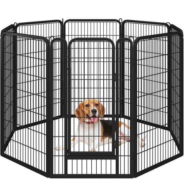 Ein Beagle liegt in einem schwarzen, rechteckigen Hundeauslaufgitter.