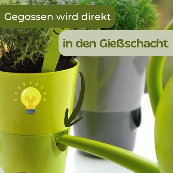 Bewässerungssystem für Pflanzen mit Wasserreservoir und Gießschacht