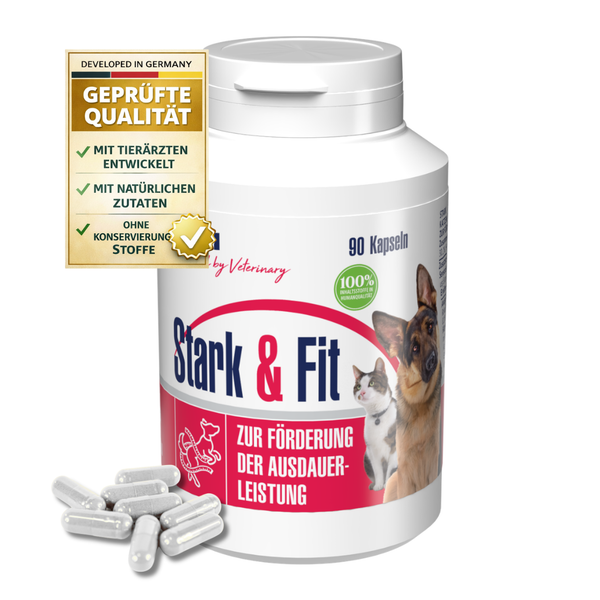 Dose mit 90 Kapseln Stark und Fit für Hunde und Katzen zur Förderung der Ausdauerleistung, geprüft in Deutschland mit natürlichen Zutaten.