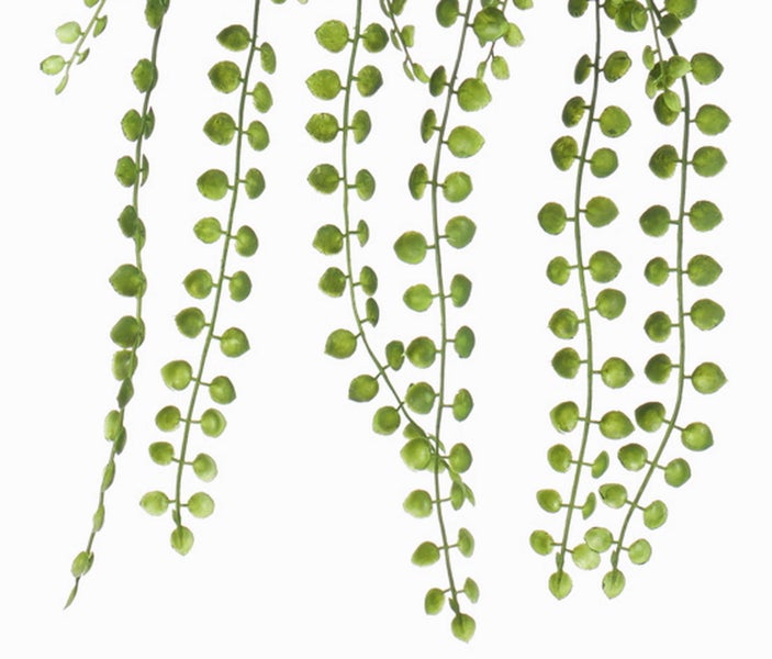 Künstliche Hängepflanze mit kleinen runden grünen Blättern zur Dekoration.