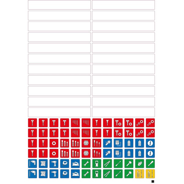 Begonienpflanze mit auffälligen Blattmustern im Detail