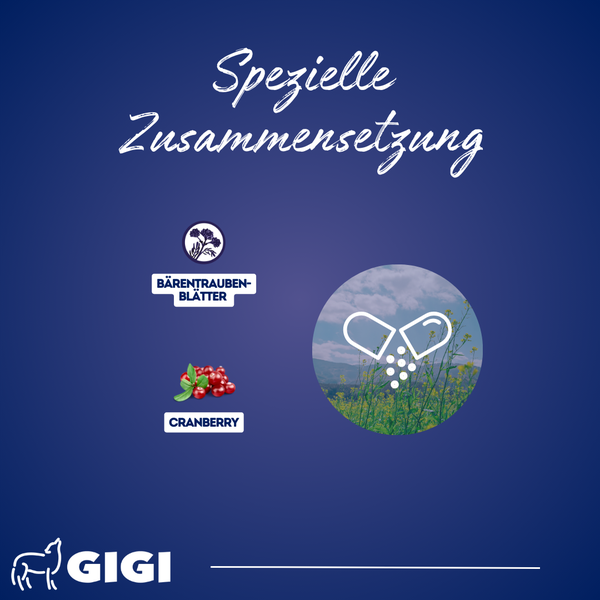 Grafik mit Bärengartenblätter, Cranberry und Kapsel-Symbol für spezielle Zusammensetzung