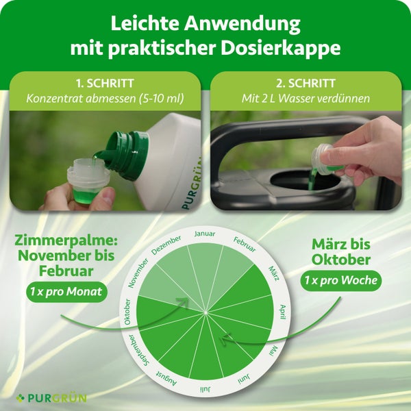 Anwendungsschritte für Purgrün Dünger: Konzentrat abmessen, mit zwei Liter Wasser verdünnen und Düngekalender für Zimmerpalmen. Purgrün Logo.