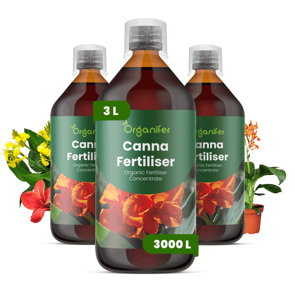 Drei Flaschen Organifer Canna Dünger, organisches Flüssigdünger-Konzentrat, insgesamt 3 Liter, ergiebig für 3000 Liter Gießwasser.