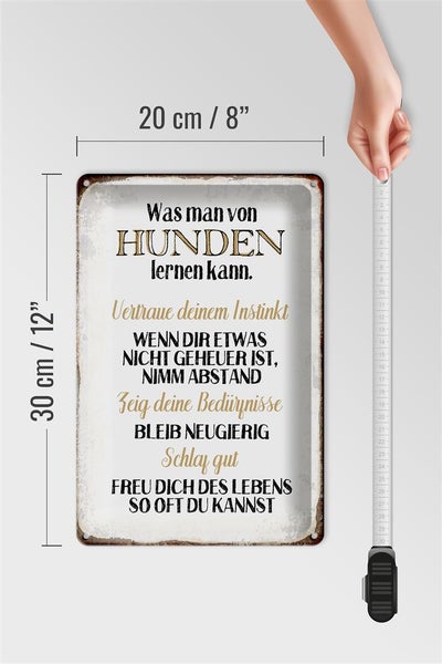 Blechschild Spruch 20x30cm was man von Hunden lernen kann