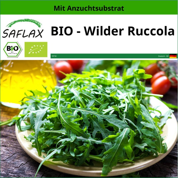 SAFLAX  - BIO - Wilder Ruccola - Diplotaxis tenuifolia - 1500 Samen - Mit keimfreiem Anzuchtsubstrat