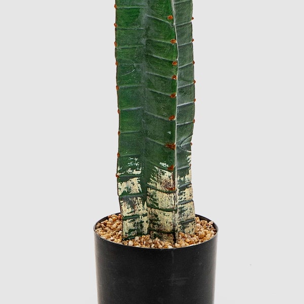 Detailansicht einer Kunstpflanze mit dichten grünen Blättern und braunem Holzstamm.