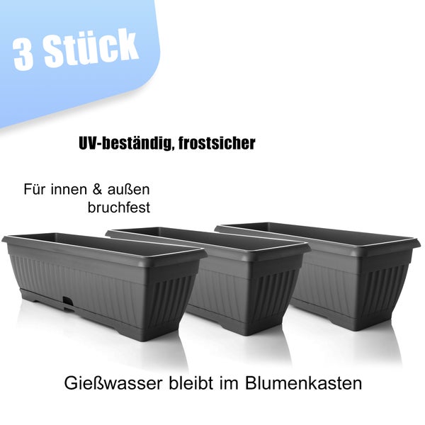 BigDean 3x Blumenkasten mit abnehmbarem Untersetzer Anthrazit 50 cm lang aus bruchsicherem Kunststoff - Balkonkasten Pflanzkasten mit Wasserspeicher für Innen- & Außenbereich geeignet - Made in Europe