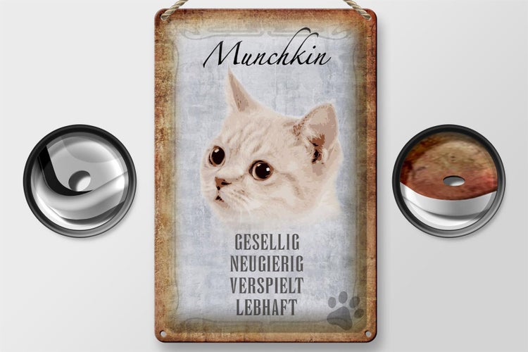 Blechschild Spruch 20x30cm Munchkin Katze lebhaft Schild