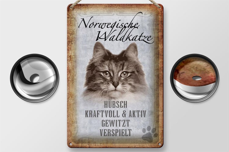 Blechschild Spruch 20x30cm norvegische Waldkatze Katze Wanddeko