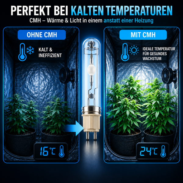 Vergleichsgrafik einer Pflanzenzucht im Zelt ohne und mit CMH Pflanzenlampe zur Erzeugung von Wärme und Licht für gesundes Pflanzenwachstum.