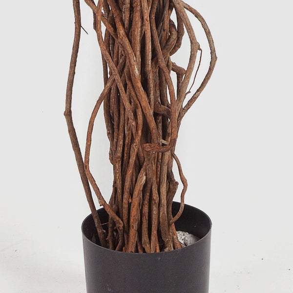 Künstliche Pflanze mit einem Stamm aus Naturholz-Ranken in einem schwarzen Kunststofftopf.