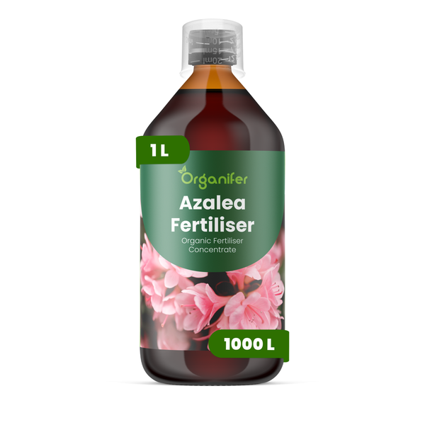 Organifer Azaleendünger, organisches Düngerkonzentrat, 1 Liter Flasche für circa 1000 Liter Gießwasser.