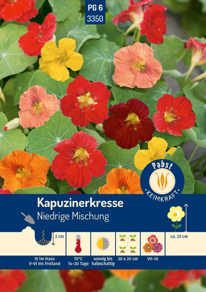 Dürr Samen Logo, Samentüte für Kürbis Sweet Dumpling mit Abbildung der gestreiften Früchte und Detailansicht der Samen.
