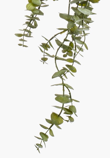 Künstlicher Eukalyptus-Hänger mit grünen Blättern an herabhängenden Zweigen.