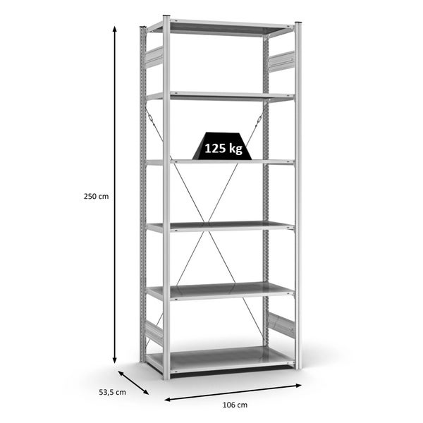 PROREGAL Profi Lagerregal Stecksystem T-Profil Grundregal HxBxT 250 x 100 x 50 cm Fachlast 125 kg Verzinkt