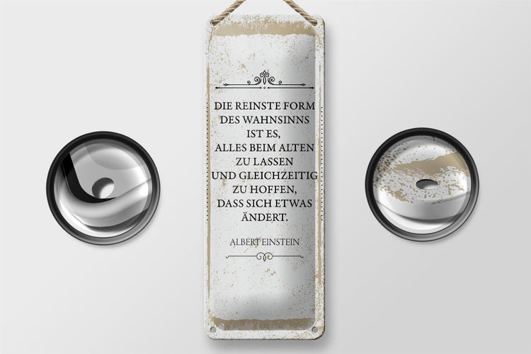 Blechschild Spruch Einstein reinste Form Wahnsinns 10x27cm