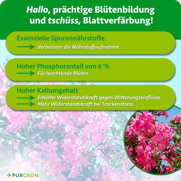 Infografik zum Purgruen Pflanzendünger für prächtige Blütenbildung mit Angaben zu Spurennährstoffen, Phosphor und Kalium für Oleander.