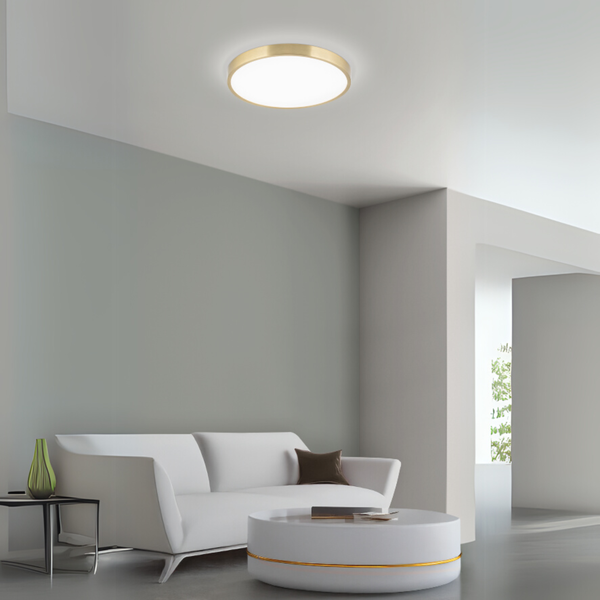 Wohnzimmer mit Couch, Tisch und runder Deckenleuchte