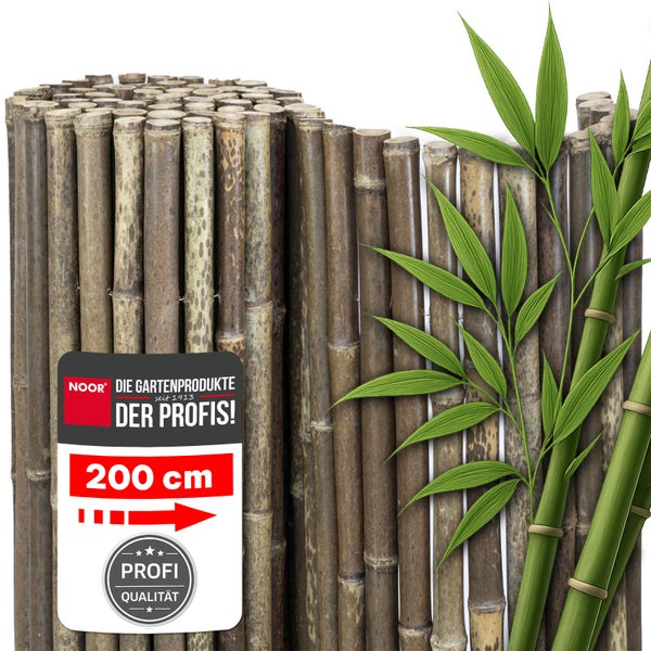 Bambusmatte für Sichtschutz aus natürlichen Rohren mit einer Höhe von 200 Zentimetern von Noor.