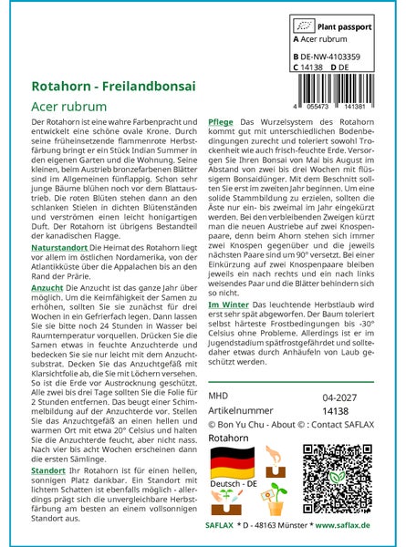 SAFLAX  - Rotahorn - Acer rubrum - 20 Samen - Mit keimfreiem Anzuchtsubstrat