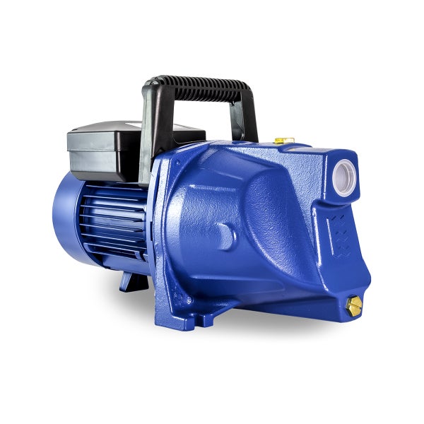 Blaue Gartenpumpe mit Tragegriff für die Wasserversorgung