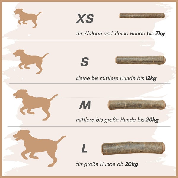 Größenvergleich von Kauhölzern für Hunde in den Größen XS, S, M und L