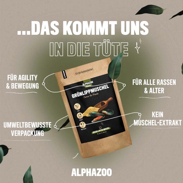 ALPHAZOO Grünlippmuschelpulver 100g für Hunde und Katzen I Vollfett Grünlippmuschel
