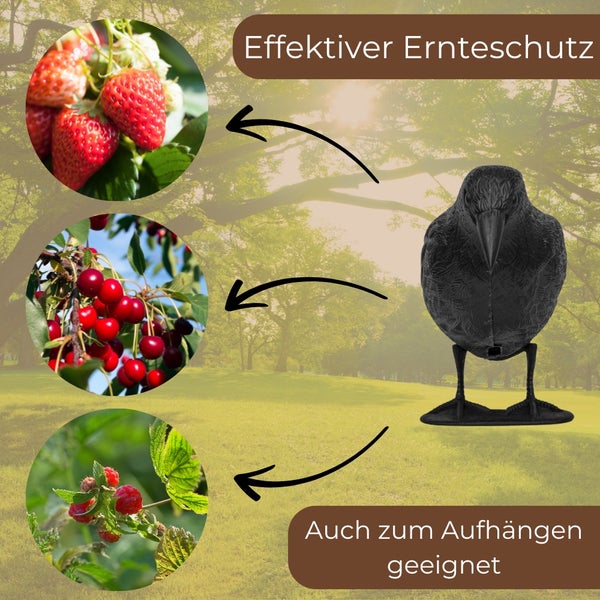 Dekorative Krähe als effektiver Ernteschutz für Erdbeeren, Kirschen und Himbeeren, auch zum Aufhängen geeignet.
