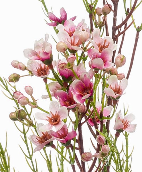 Künstlicher Wachsblumen-Zweig mit rosa und weißen Blüten sowie grünen Knospen.