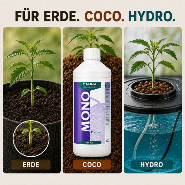 CANNA MONO Kalium Flüssigdünger zur Verwendung bei Erde, Kokossubstrat und Hydrokulturen zur Förderung von Wachstum und Blüte.
