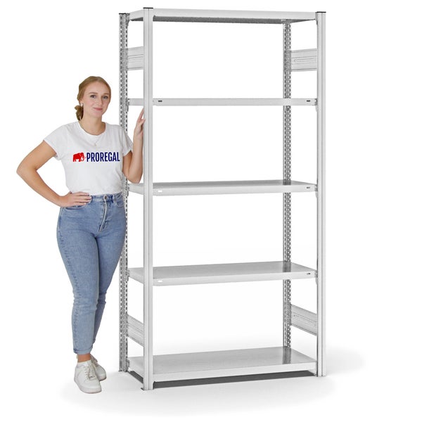 PROREGAL Fachbodenregal Stecksystem T-Profil Light-Duty Grundregal HxBxT 200 x 100 x 40 cm 5 Ebenen Fachlast 145 kg Beidseitig Nutzbar Lichtgrau