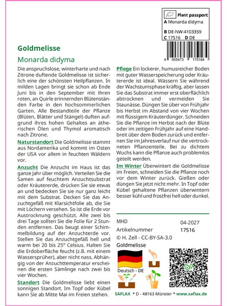 SAFLAX Garden to go - Goldmelisse - Monarda didyma - 20 Samen - Mit Topf, Klima - Deckel und Anzuchtsubstrat