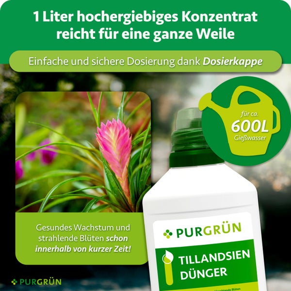 Eine Flasche Purgrün Tillansien Dünger mit Dosierkappe und Anwendungshinweisen für ein Liter Konzentrat für sechs hundert Liter Gießwasser.