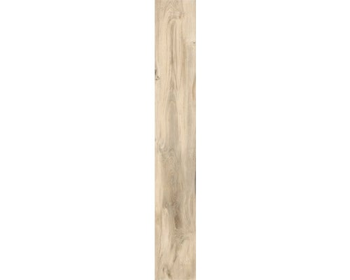 Wand- und Bodenfliese Aretino ecru 23,4x148cm rektifiziert