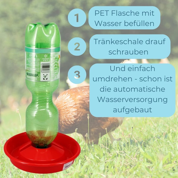 Automatische Tränke für Hühner mit PET Flasche und Tränkschale