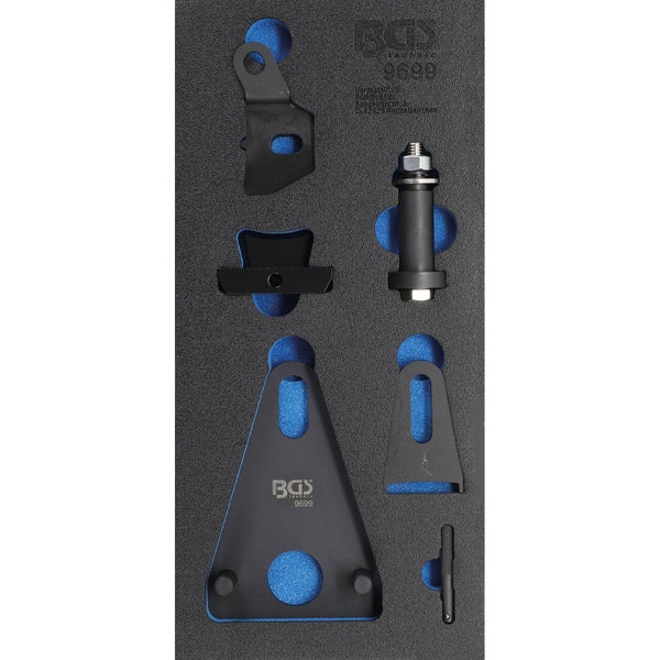 Nahaufnahme eines Feldes mit blühendem Kriechendem Thymian