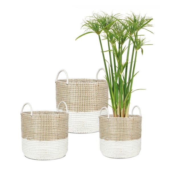 Scheurich Seagrass 39, Korbgefäß/Korb-Pflanzgefäß/Korbtopf mit Griffen aus Seagrass Farbe: Nature White, 39 cm Durchmesser, 34 cm hoch, 38,6 l Vol.