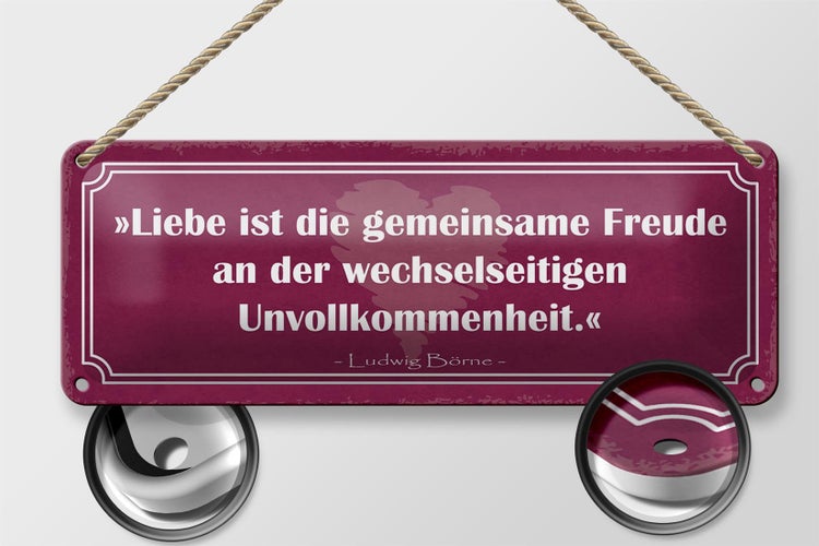 Blechschild Spruch 27x10cm Liebe ist die gemeinsame Freude Dekoration