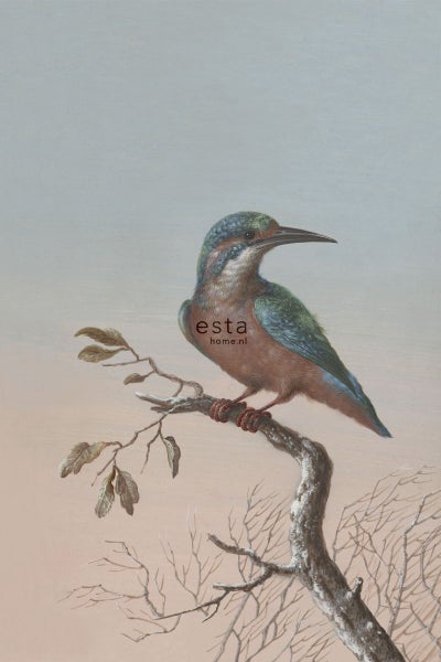 ESTAhome Fototapete Eisvogel auf Zweig Abendrot - 1,86 x 2,79 m - 158888