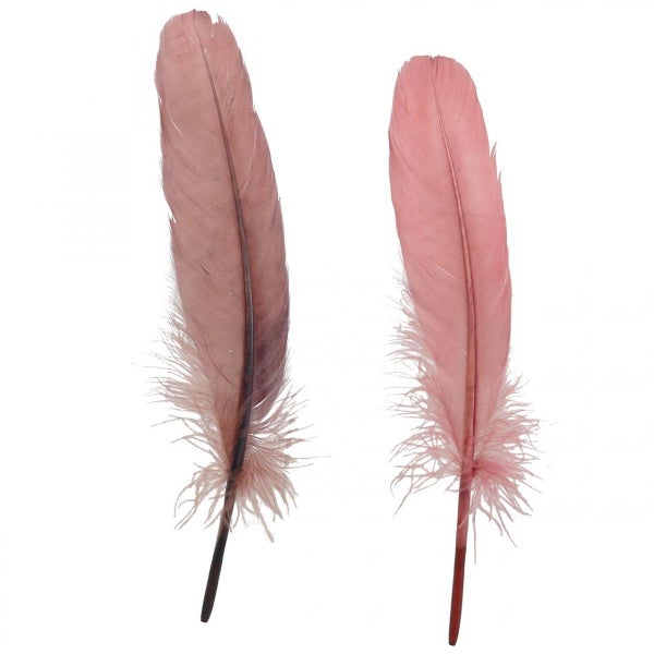 Zwei dekorative Federn in Rosa für Bastelarbeiten und Dekoration.