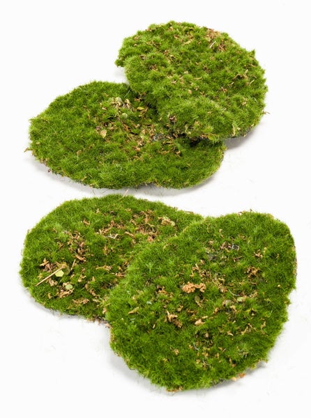 Künstliche grüne Moospads mit realistischer Textur für Dekorationszwecke.