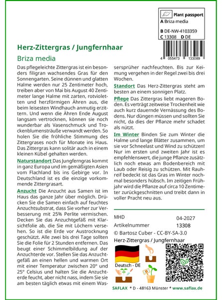 SAFLAX Garden to go - Herz-Zittergras / Jungfernhaar - Briza media - 75 Samen - Mit Topf, Klima - Deckel und Anzuchtsubstrat