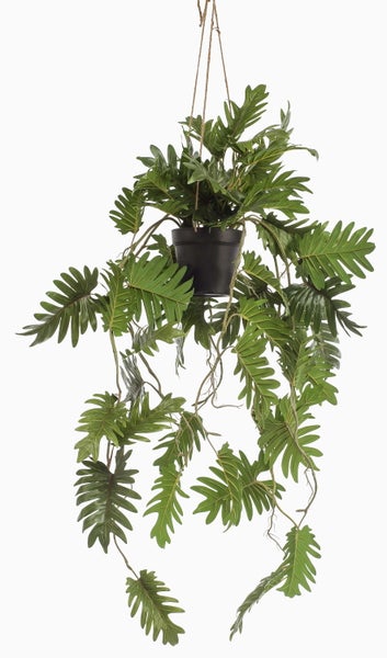 Künstliche Philodendron Hängepflanze mit detailgetreuen grünen tief gelappten Blättern an braunen Ranken.