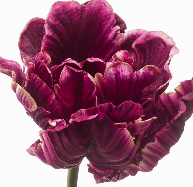 Künstliche Papageien-Tulpe mit purpurroten Blütenblättern und grünem Stiel.