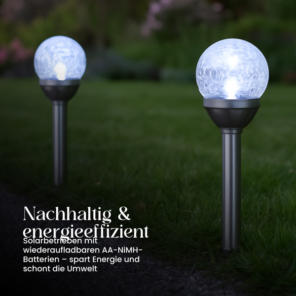 Zwei Solarleuchten im Garten, nachhaltig und energieeffizient.