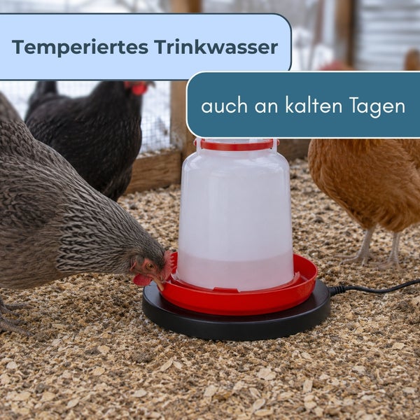 Beheizbare Geflügeltränke auf einer Wärmeplatte im Hühnerstall sorgt für frostfreies Trinkwasser für Hühner auch an kalten Tagen.